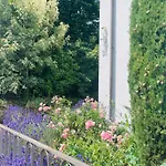 Zu Hause Pfalz Tatil Evi *